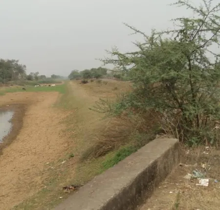 ଶୁଖିଲା ପଡ଼ିଛି ହାଇଲେବୁଲ କେନାଲ