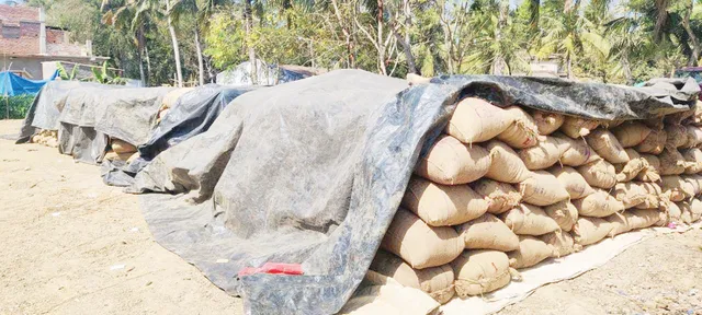 ମଣ୍ଡି ମାଡ଼ିନାହାନ୍ତି ୩୫ହଜାର ଚାଷୀ: ଖରିଫ ଧାନକିଣା ଆଉ ୧୫ଦିନ