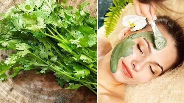 ଶୀତ ଦିନେ ତ୍ବଚା ମଳିନ ଦିଶୁଛି କି? ଏହି ପ୍ୟାକ୍‌ ଲଗାଇଲେ ଚମକିବ ଆପଣଙ୍କ ଚେହେରା