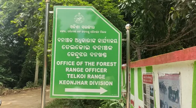 ତେଲକୋଇ ରେଞ୍ଜରେ ଛୁଆ ହାତୀ ମୃତ