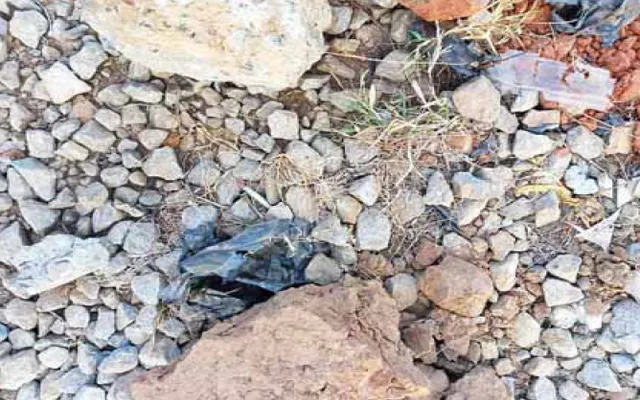 ବାରୁଦ ଗଦା ନିକଟରେ ସ୍କୁଲ୍‌; ଜବତ ହେଲା ୪ ଡିଟୋନେଟର୍‌, ଠିକାସଂସ୍ଥା ଛାଡ଼ି ଯାଇଥିଲା