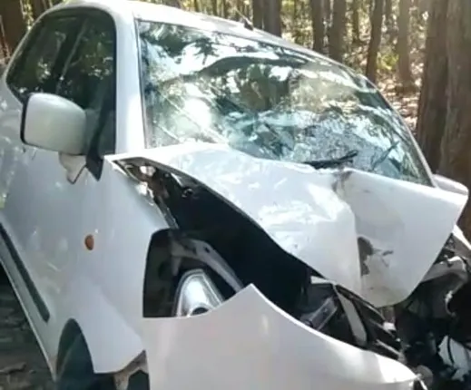 ଗଛରେ ପିଟିହେଲା କାର୍: ରାଜମିସ୍ତ୍ରୀ ଗୁରୁତର