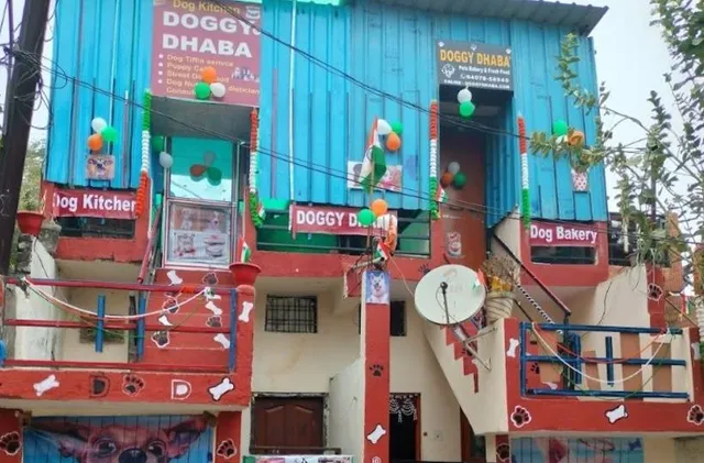 କୁକୁରଙ୍କ ପାଇଁ ସ୍ୱତନ୍ତ୍ର ଢ଼ାବା: କୁକୁରଙ୍କ ଜନ୍ମଦିନ ପାଳନ ସହ ପ୍ରସ୍ତୁତ ହୁଏ ଖାସ ଖାଦ୍ୟ