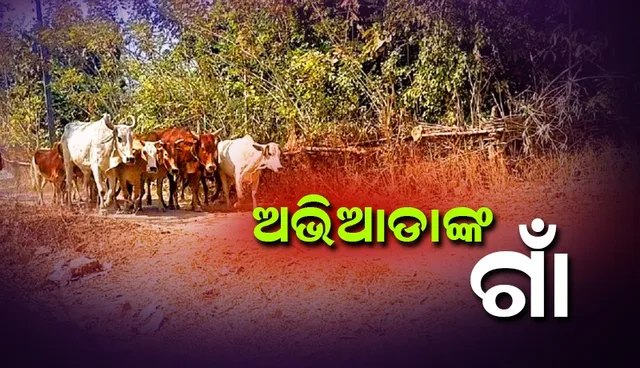 ଖରାପ ରାସ୍ତା ପାଇଁ ବାହା ନ ହୋଇପାରି ଅଭିଆଡା ରହୁଛନ୍ତି ଏହି ଗାଁ'ର ଯୁବକ