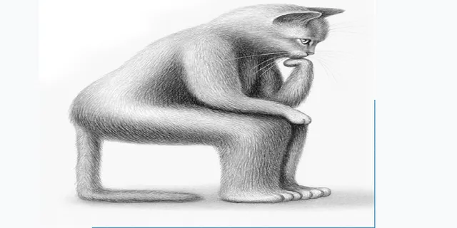 ବିଲେଇର ଆତ୍ମଦର୍ଶନ ଓ ମନୁଷ୍ୟ