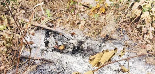 ଯୁବକଙ୍କୁ ହତ୍ୟା କରି ପୋଡ଼ିଦେଲେ; କଙ୍କାଳ, ପାଉଁଶ ଜବତ କଲା ପୁଲିସ