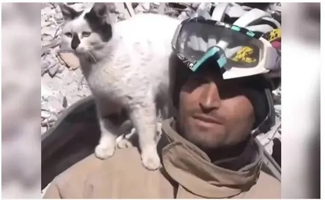 ଧ୍ବଂସସ୍ତୂପ ତଳୁ ଉଦ୍ଧାର ହେବା ପରେ କର୍ମଚାରୀଙ୍କ ପାଖ ଛାଡ଼ୁନାହିଁ ବିଲେଇ, କାନ୍ଧରେ ବସି ହେଉଛି ଗେଲ୍ହା