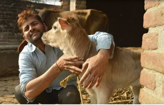 ଫେବୃଆରି ୧୪ରେ ପାଳନ କରାଯିବ ନାହିଁ ‘ଗୋ’ ମାତା ଆଲିଙ୍ଗନ ଦିବସ’, ପ୍ରାଣୀ କଲ୍ୟାଣ ବୋର୍ଡ ଫେରାଇ ନେଇଛି ଆବେଦନ