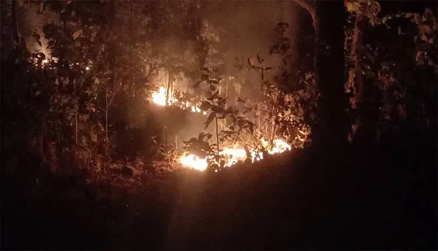 ଜଳୁଛି ସଂରକ୍ଷିତ ଜଙ୍ଗଲ