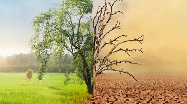 ଜଳବାୟୁ ପରିବର୍ତ୍ତନର ଜ୍ୱାଳା ଭୋଗୁଛି ଓଡ଼ିଶା