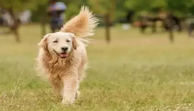 ରାସ୍ତାକଡ଼ରେ ମଳତ୍ୟାଗ କରାଇଲେ୧୦ ହଜାର