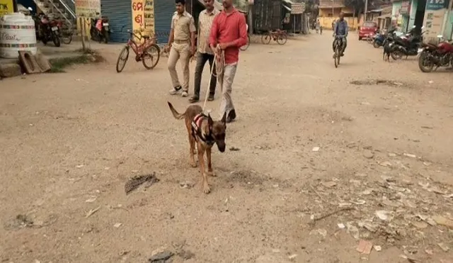 ଘର ତାଲା ଭାଙ୍ଗି ଲକ୍ଷାଧିକ ଟଙ୍କା, ସୁନାଗହଣା ଚୋରି