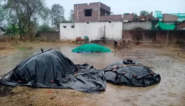 ଅଦିନିଆ ବର୍ଷାରେ ଭିଜିଲା ମୁଗ, ଚିନ୍ତାରେ ଚାଷୀ