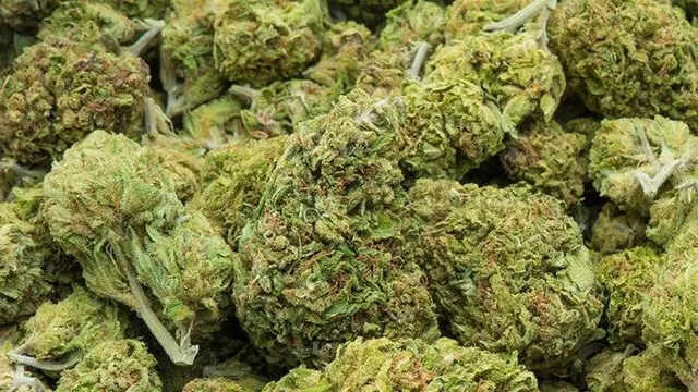 ବାଇକ ସହ ଗଞ୍ଜେଇ ଜବତ,୨ ଗିରଫ