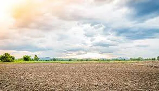 ଜବରଦଖଲରେ ଦଧିବାମନଜିଉଙ୍କ ଜମି