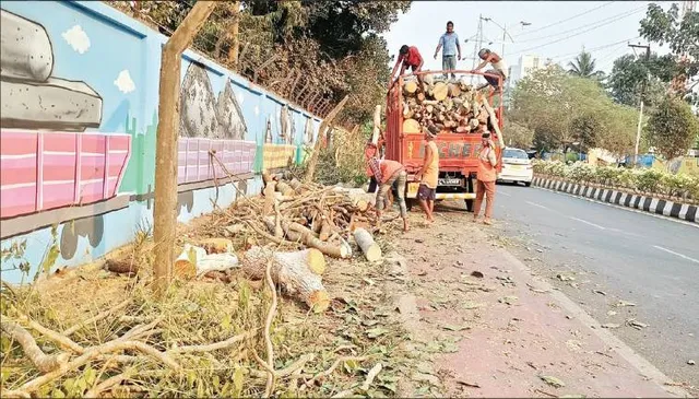 କେବେ ଆସିବ ଟ୍ରି ଆକ୍ଟ୍‌? ଡ୍ରେନ୍‌ ପାଇଁ ଗଛ ବଳି