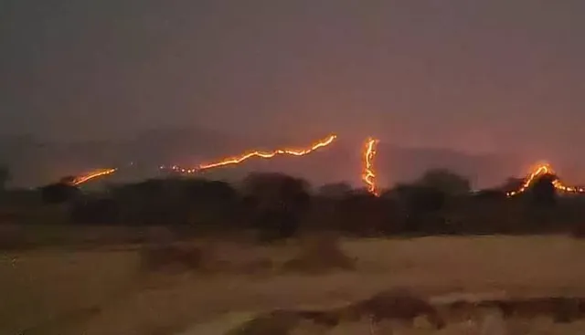 ଜଳୁଛି ଜଙ୍ଗଲ, ବନ ବିଭାଗ ନିରବ