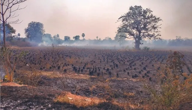 ଚାଷଜମିରେ ନିଆଁ, ସମଗ୍ର ଅଞ୍ଚଳ ଧୂଆଁମୟ