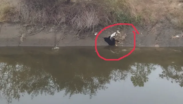 ହରିହର ଯୋର କେନାଲ, ବାରମ୍ବାର ଭାଙ୍ଗୁଛି ହିଡ଼, ତଳମୁଣ୍ଡକୁ ଯାଉନି ପାଣି