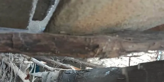 ରିଆମାଳରେ ଚାଞ୍ଚଲ୍ୟ: ଜଘନ୍ୟ ହତ୍ଯାକାଣ୍ଡ, ପୁଲିସର ତଦନ୍ତ ଆରମ୍ଭ