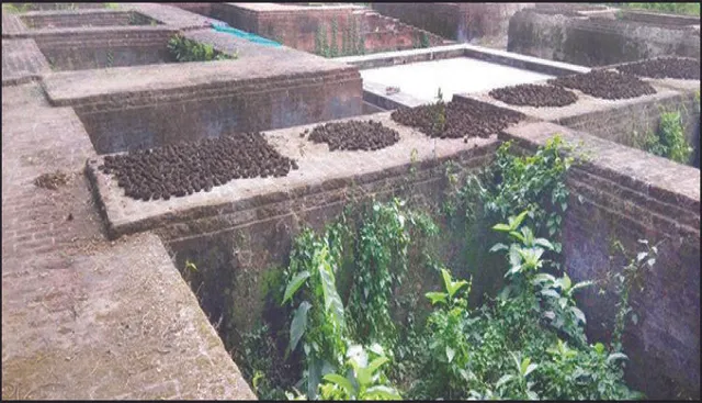 ଅବହେଳିତ ଐତିହାସିକ ବୌଦ୍ଧପୀଠ