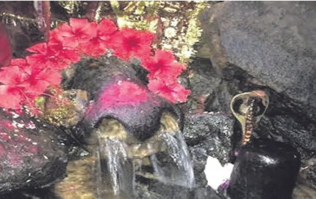 ପୁଣ୍ୟତୋୟା ବୈତରଣୀ