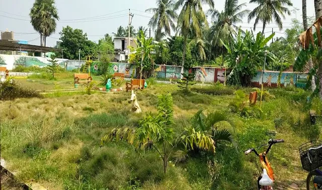 ଜଙ୍ଗଲ ପାଲଟିଛି ଗ୍ରାମୀଣ ପାର୍କ, ରକ୍ଷଣାବେକ୍ଷଣ ହେଉନି