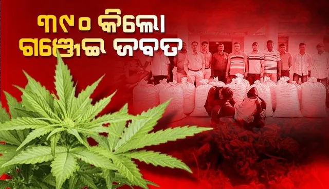 ୩୯୦ କିଲୋଗ୍ରାମ୍ ଗଞ୍ଜେଇ ଜବତ, ୨ ଗିରଫ