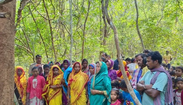 ପୁରୀ ରଥଯାତ୍ରା ପାଇଁ ଘୁମୁସର ବନଖଣ୍ଡରୁ ଯିବ କାଠ, ଗଛକଟା ଆରମ୍ଭ