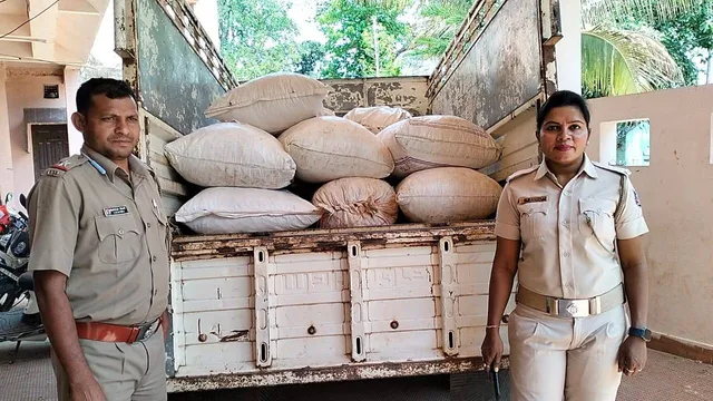 ଚାଲାଣ ପାଇଁ ଜଙ୍ଗଲରେ ରଖାଯାଇଥିଲା ୫ କୁଇଣ୍ଟାଲ ଗଞ୍ଜେଇ; ଜବତ କଲା ପୁଲିସ, ଚାଲାଣକାରୀ ଫେରାର