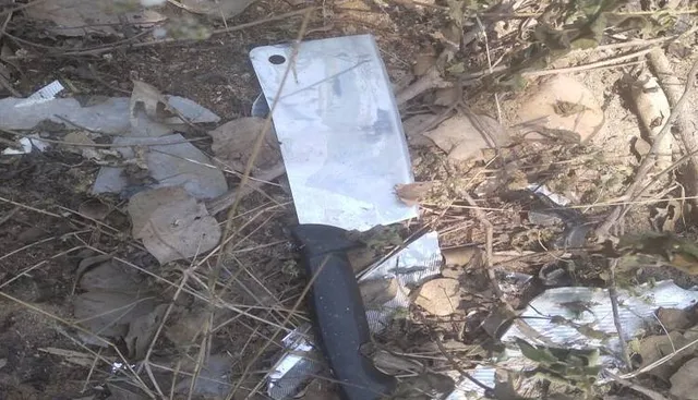 ହତ୍ୟା କରି ପୋଡ଼ି ଦେଲେ