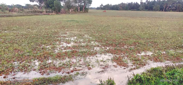 ତାଣ୍ଡବ ରଚିଲା କାଳବୈଶାଖୀ; ୭ ଆହତ, ବୁଡ଼ିଲା ମୁଗ, ବିରି ଫସଲ