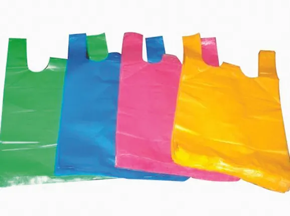 ଫଟାପଲିଥିନ୍‌ରେ ପଲିଥିନ୍‌ମୁକ୍ତ ରାଜଧାନୀର ସ୍ବପ୍ନ