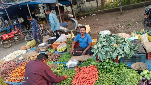 ଅଦିନିଆ ବର୍ଷା ଓ ପବନ ଯୋଗୁଁ ପରିବା ଚାଷ ନଷ୍ଟ: ପରିବା ଦର ଆକାଶ ଛୁଆଁ