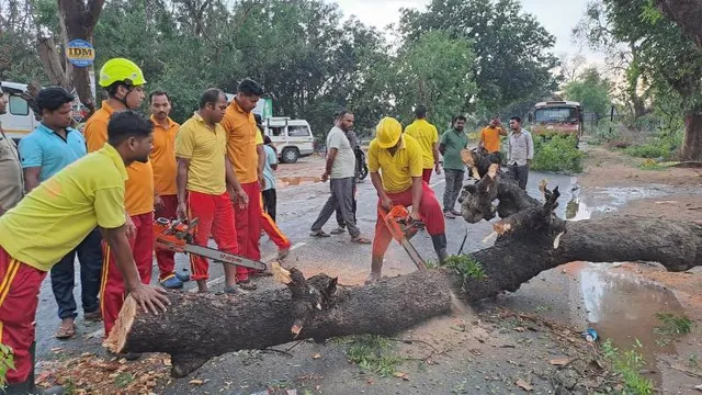 କାଳବୈଶାଖୀରେ ଭାଙ୍ଗିଲା ଗଛ, ଦେଓଗାଁରେ ବ୍ୟାପକ କ୍ଷୟକ୍ଷତି