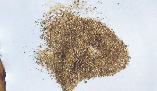 ଖଣି ସନ୍ଧାନ: ଅନୁଗୁଳରେ ଗ୍ରାଫାଇଟ୍‌, ବଲାଙ୍ଗୀରରେ ସୁନା!