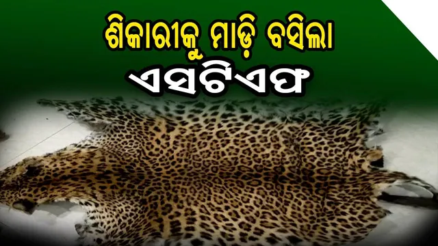 କଲରାପତରିଆ, ହରିଣ ଓ କୁଟୁରା ଛାଲ ଜବତ: ଶିକାରୀ ଗିରଫ