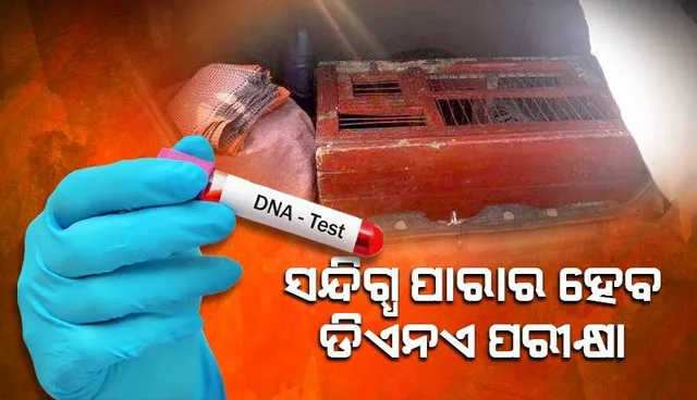 ସିଏଫଏସଏଲ ଯିବ ସନ୍ଦିଗ୍ଧ ପାରା: ହୋଇପାରେ ଡିଏନଏ ପରୀକ୍ଷା