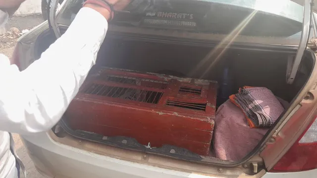 ଫରେନ୍ସିକ ଲ୍ୟାବ୍‌ରେ ପହଞ୍ଚିଲା ପାରାଦୀପରୁ ଧରା ପଡ଼ିଥିବା ସନ୍ଦିଗ୍ଧ ପାରା