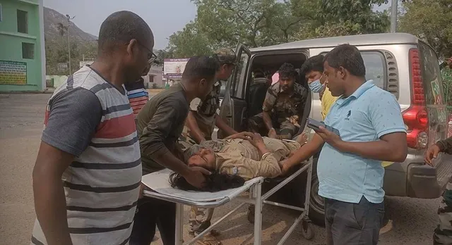 ହାତୀ ଆକ୍ରମଣରେ ବନ କର୍ମଚାରୀ ଗୁରୁତର, ଡାକ୍ତରଖାନାରେ ଭର୍ତ୍ତି