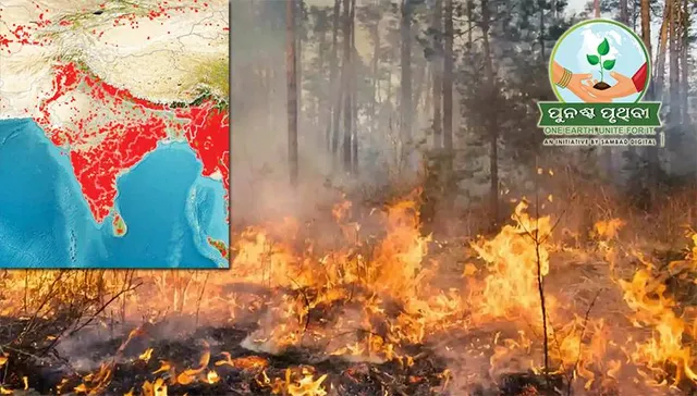 ନିଆଁ ଆଁରେ ଓଡ଼ିଶା, ୭ ଦିନରେ ଦେଶରେ ସର୍ବାଧିକ ବନାଗ୍ନି