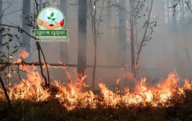 ବନାଗ୍ନି: ୧୨୩୭ ସ୍ଥାନ ଜଳୁଛି