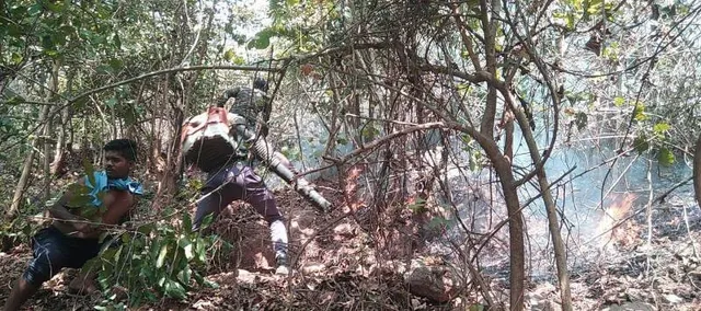 ତିନି ମାସରେ ଜୟପୁର ବନଖଣ୍ଡର ୧୯୧ ସ୍ଥାନରେ ଲାଗିଲା ନିଆଁ