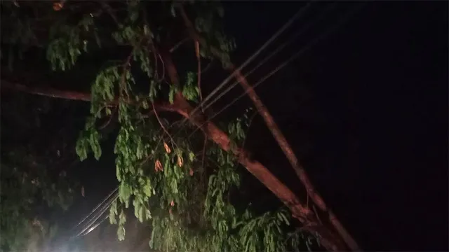 ଝଡ଼ ତୋଫାନ ଓ କୁଆପଥର ମାଡ଼ରେ ଛିଣ୍ଡିଲା ବିଦ୍ୟୁତ୍‌ ତାର, ଟ୍ରକ ଓଲଟିଲା