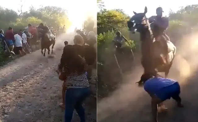 ଦୌଡ଼ୁଥିବା ଘୋଡ଼ା ସାମ୍ନାକୁ ଚାଲି ଆସିବାରୁ ମହିଳାଙ୍କ ହେଲା ଏଭଳି ଅବସ୍ଥା