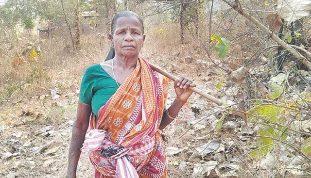 ୫୦ ବର୍ଷ ଧରି ଜଙ୍ଗଲ ସୁରକ୍ଷାରେ ‘ଜଙ୍ଗଲରାଣୀ’, କାନ୍ଧରେ ଟାଙ୍ଗିଆ ଧରି ଜଙ୍ଗଲ ଜଗୁଛନ୍ତି ହୀରାଦ୍ରି ମାଝୀ