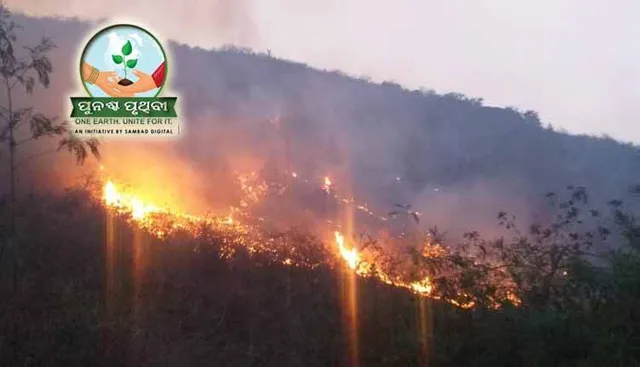 ନିଆଁ ଗିଳୁଛି ଜଙ୍ଗଲ: ୬୨ ହଜାର ହେକ୍ଟର୍‌ ଛାରଖାର