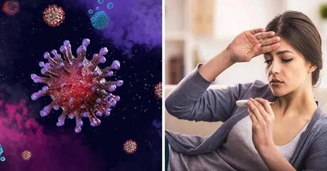 ଏଚ୩ଏନ୨ ଋତୁକାଳୀନ, ସଂକ୍ରମଣ ସ୍ୱାଭାବିକ: ସରକାରୀ ସୂତ୍ର