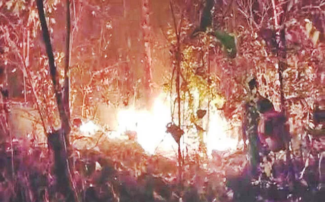 ଜଳୁଛି ସଂରକ୍ଷିତ ଜଙ୍ଗଲ; ମହୁଲ ସଂଗ୍ରହ ପାଇଁ ଲାଗୁଛି  ନିଆଁ