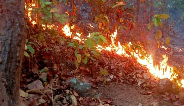 ଘୁ.ଉଦୟଗିରି ବନାଞ୍ଚଳରେ ନିଆଁ